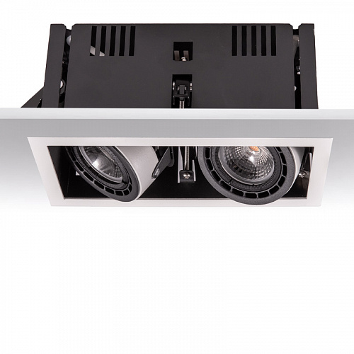 ART-E-110 x2 LED Светильник встраиваемый карданный Downlight   -  Встраиваемые светильники 
